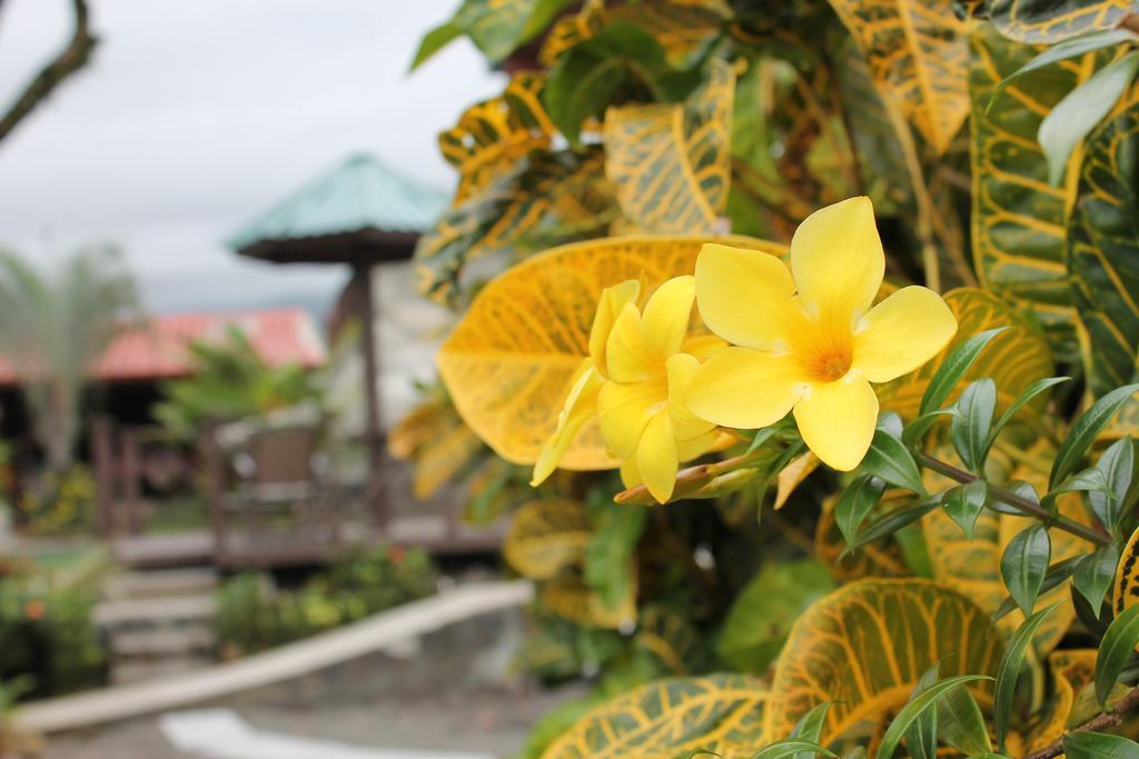 Hotel Bijagua Fortuna Exterior photo